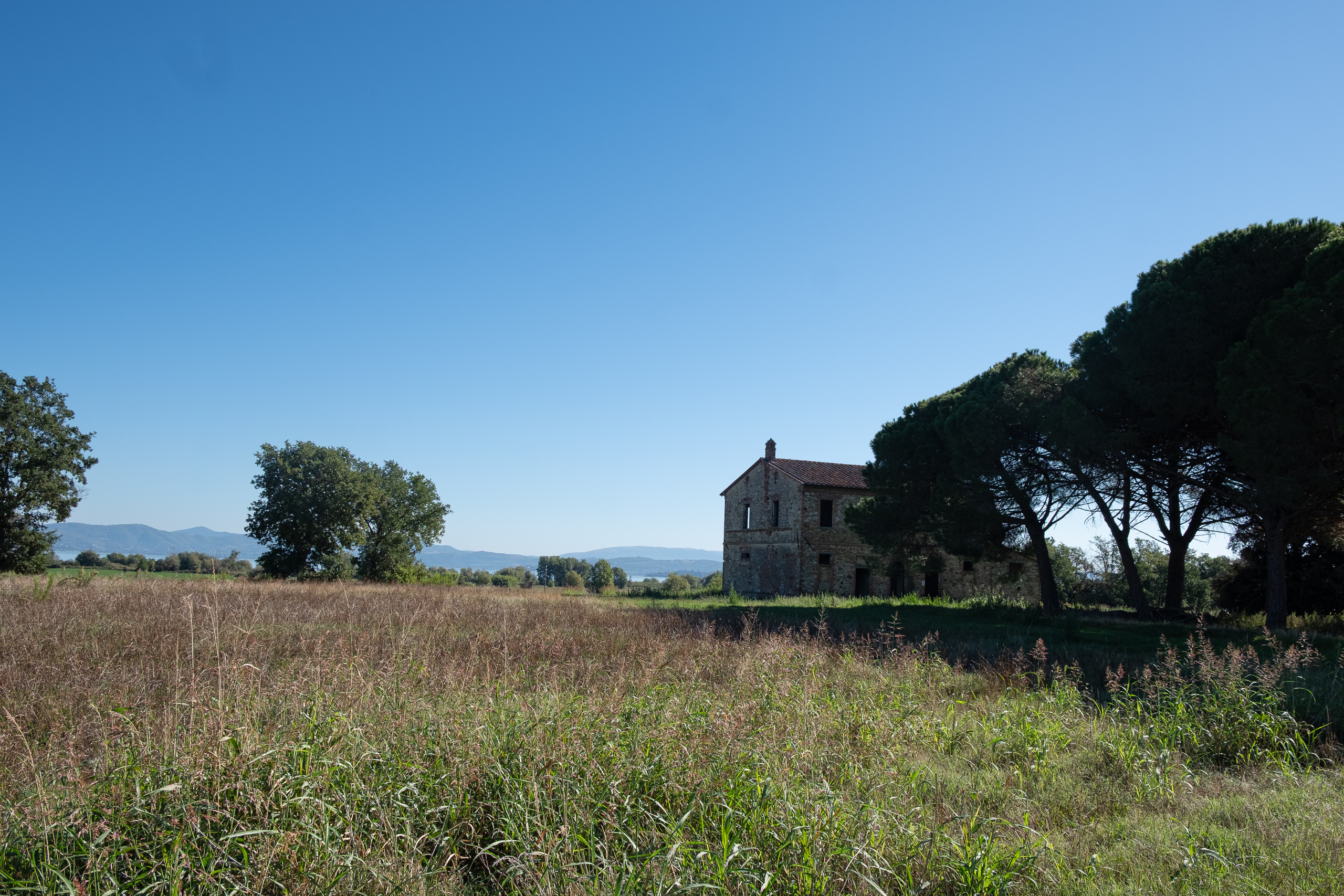 Verlassenes Steinhaus unter Pinien – im Hintergrund der Trasimener See